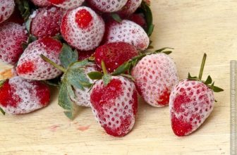 Erdbeeren einfrieren