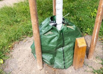 Bewässerungssack für Bäume