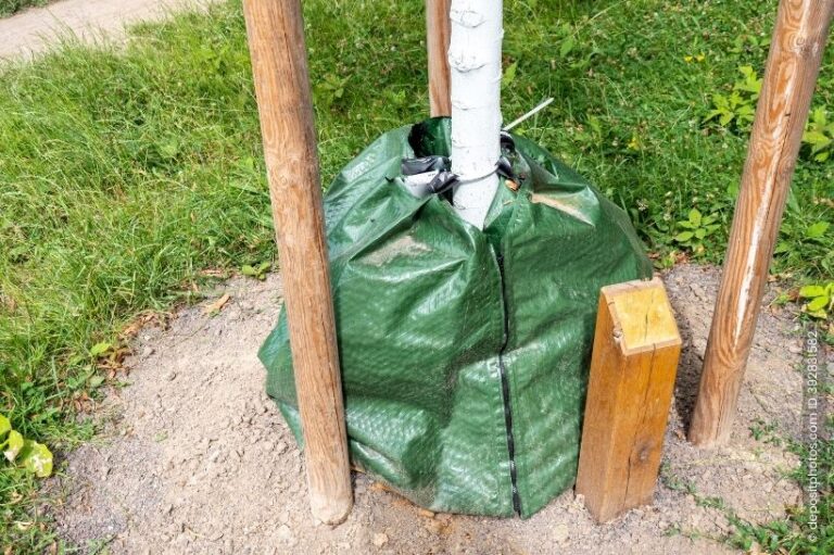 Bewässerungssack für Bäume