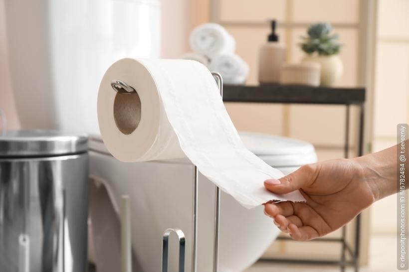 Toilettenpapierhalter Herzen Metall Rollenhalter Papierhalter Französischer Stil 