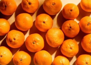 Mandarinen länger haltbar machen