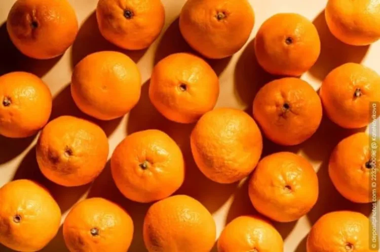 Mandarinen länger haltbar machen