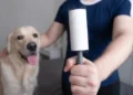 Tierhaare entfernen