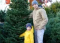Weihnachtsbaum