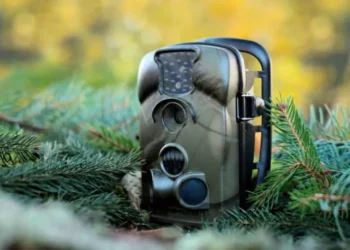 Wildkamera mit live Übertragung auf das Handy