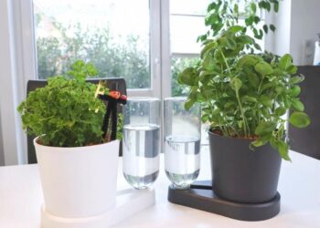 greevi Bewässerungssystem im Test